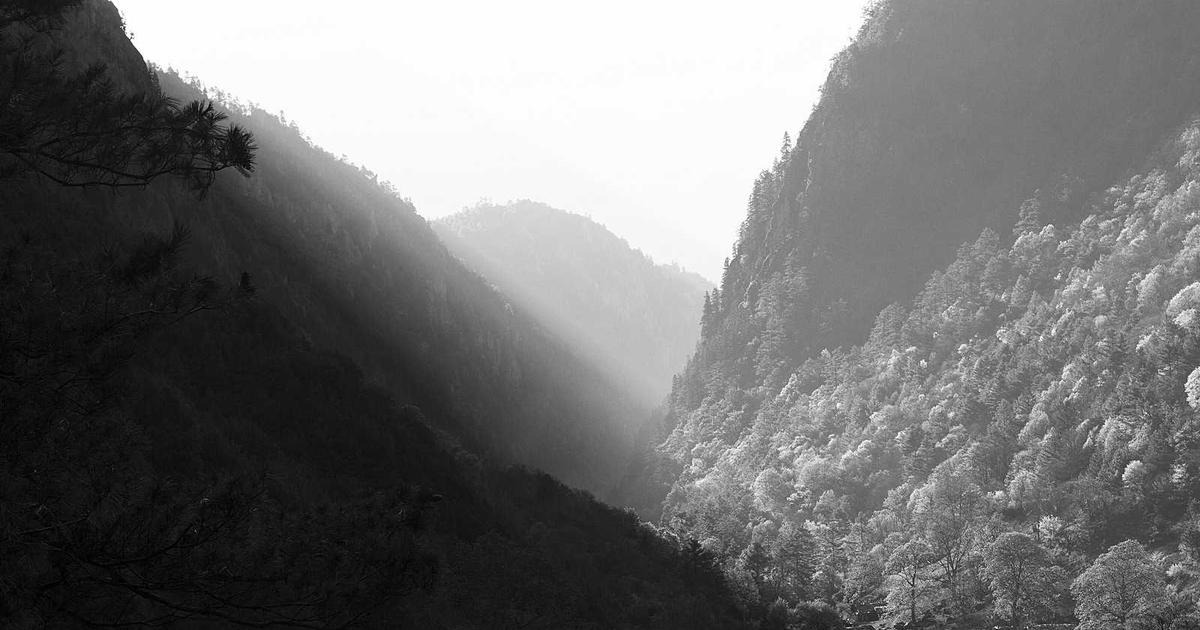 New Jersey is a Fossil Hotspot, with Answers About the Day the Dinosaurs Died