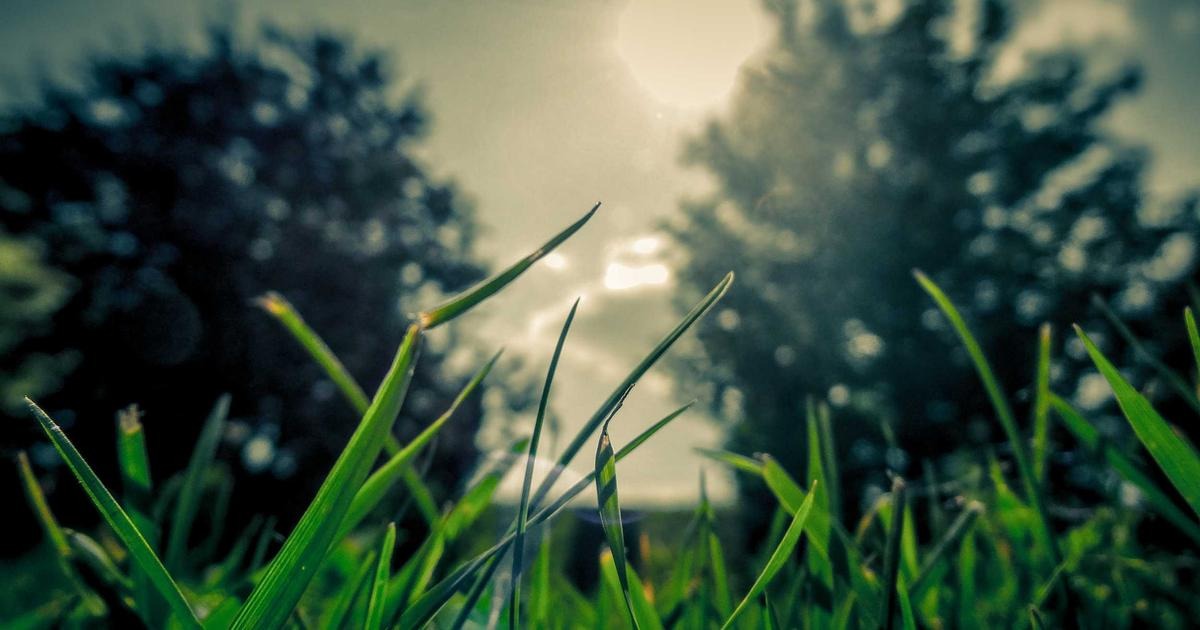 Ugreen's New Smart Home Ecosystem Is Built Around Local AI Hubs