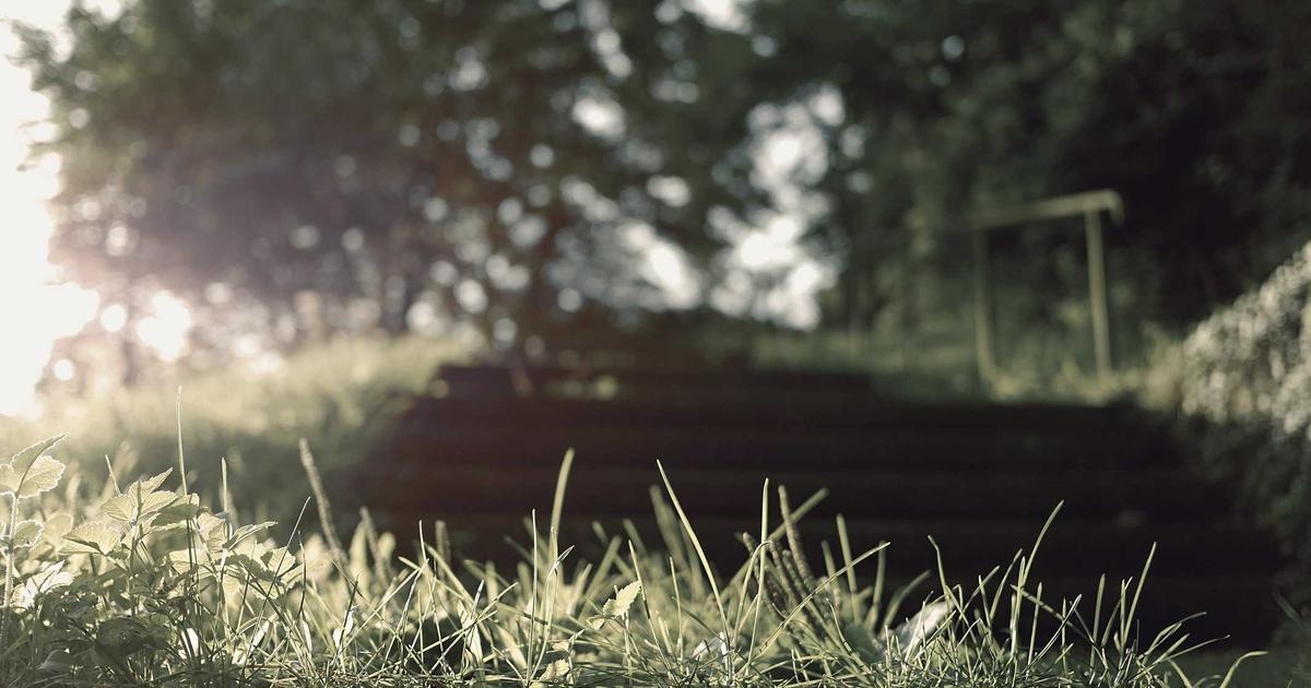 A woman was in pain for decades. A surprise meeting helped her learn why.